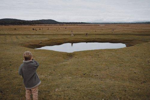 mobile - carousel-hero-element image-12