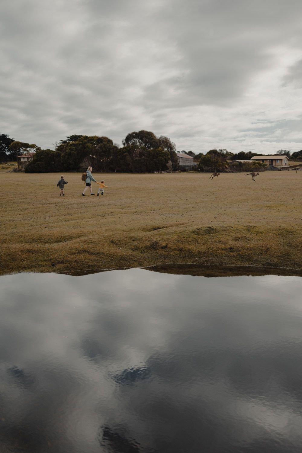 carousel-hero-element image-16