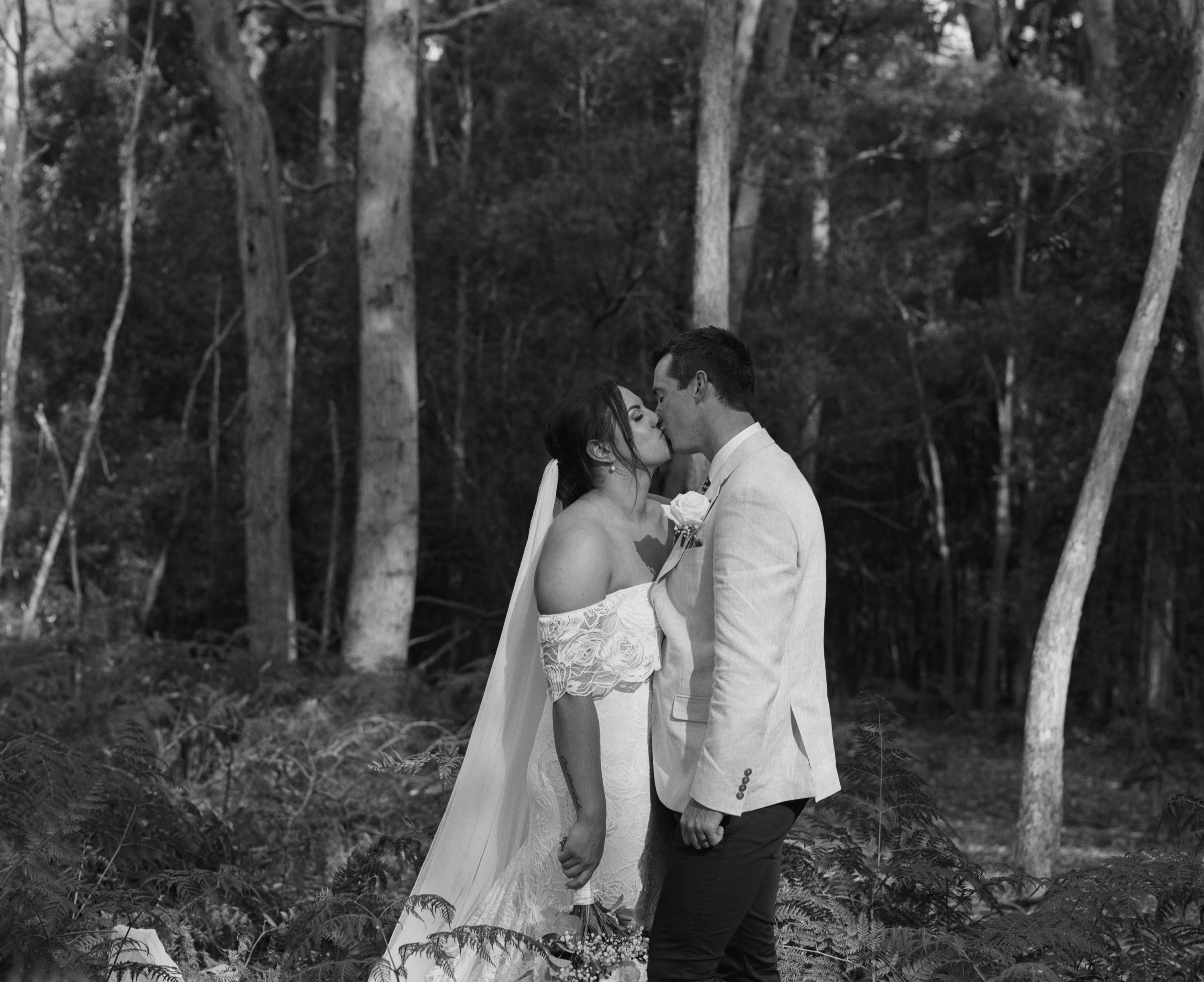 carousel-hero-element image-0